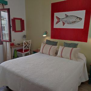 Habitación Individual